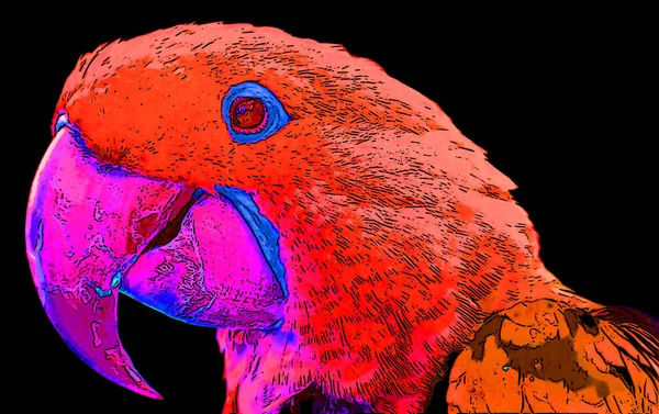 Papagáj Illusztráció Pop Art Háttér Színes Foltok — Stock Fotó
