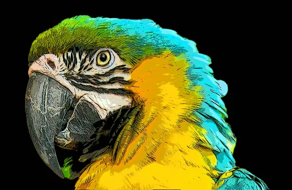 Parrot Illustration Pop Art Background Color Spots — Foto de Stock