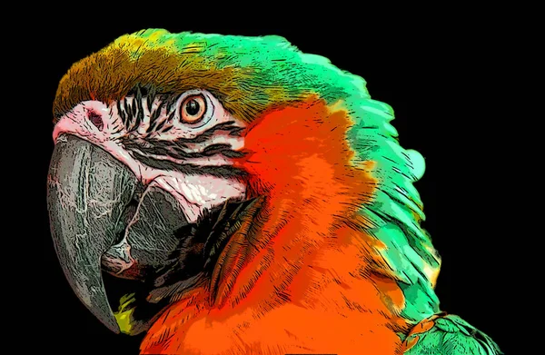 Parrot Illustration Pop Art Background Color Spots — 图库照片