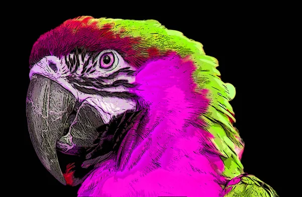 Parrot Illustration Pop Art Background Color Spots — Zdjęcie stockowe