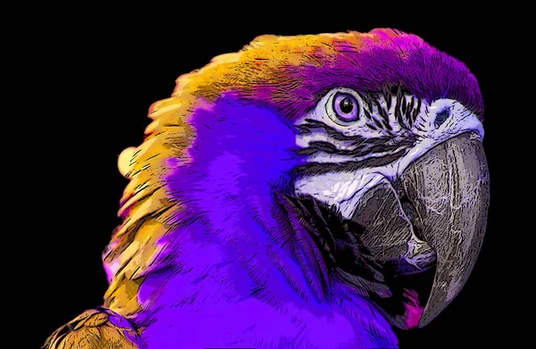 Parrot Illustration Pop Art Background Color Spots — Stock fotografie