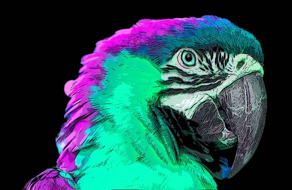 Parrot Illustration Pop Art Background Color Spots — Stock Fotó