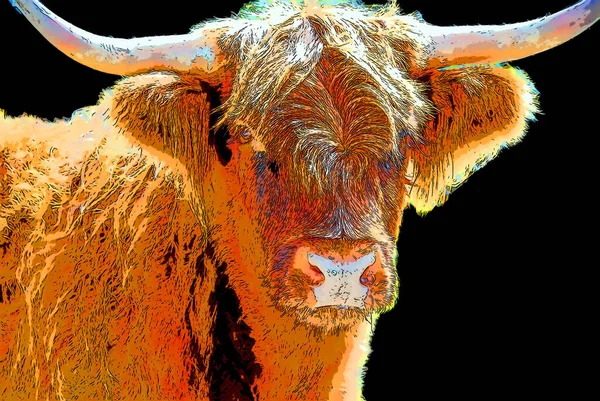 Salers is a breed of cattle which originated in Cantal in the Massif Central of France sign illustration background icon with color spots