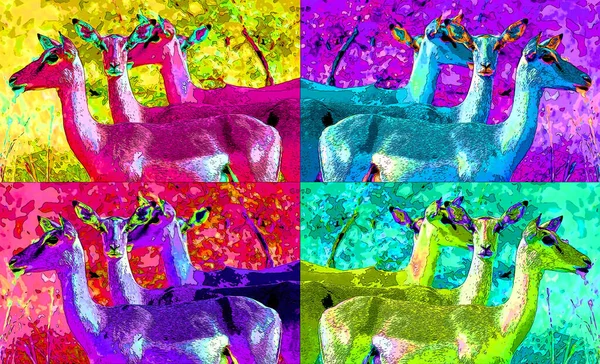 Group Impalas Illustration Background Color Spots — Stockfoto