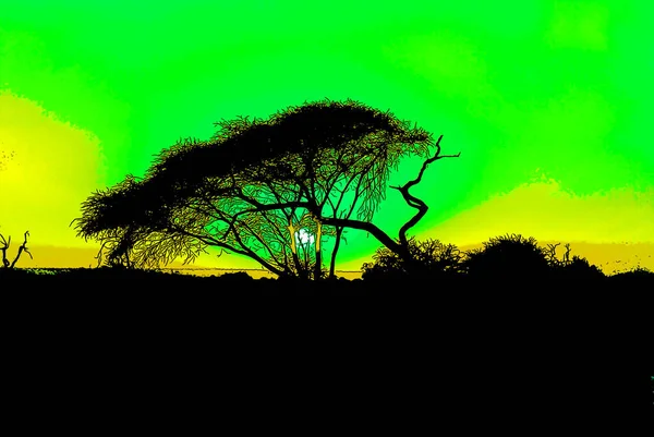 Atardecer Paisaje Del Parque Nacional Kruger Parque Nacional Sudáfrica Una —  Fotos de Stock