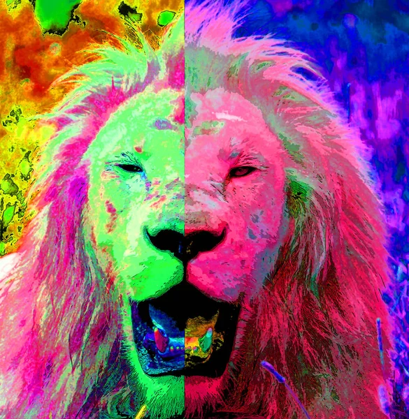 Lion Illustration Pop Art Background Color Spots — 图库照片