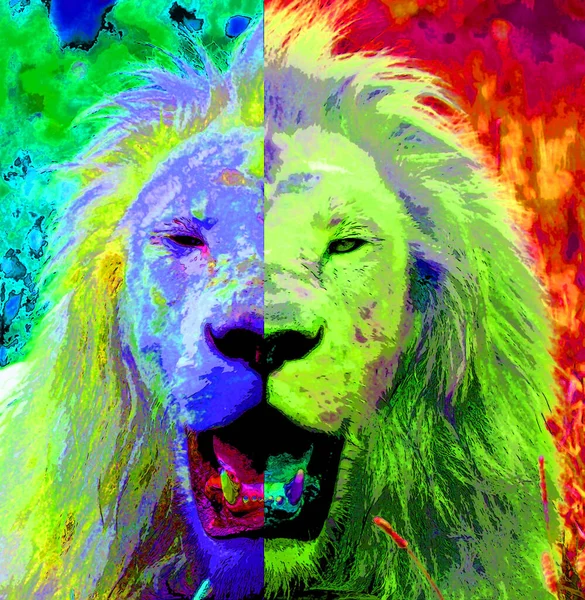 Lion Illustration Pop Art Background Color Spots — 스톡 사진