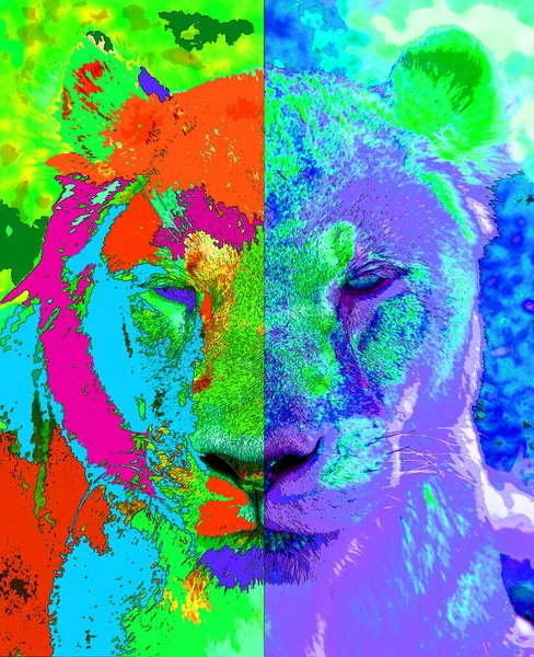 Lion Illustration Pop Art Background Color Spots — Stok fotoğraf