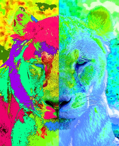 Lion Illustration Pop Art Background Color Spots — Stock Photo, Image