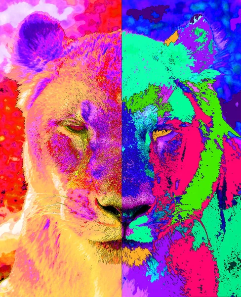 Lion Illustration Pop Art Background Color Spots — Stok Foto