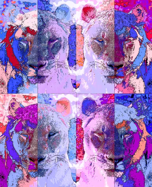 lion illustration pop-art background with color spots