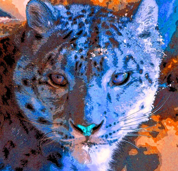 Snow Leopard Znamení Ilustrace Pop Art Pozadí Ikona Barevnými Skvrnami — Stock fotografie