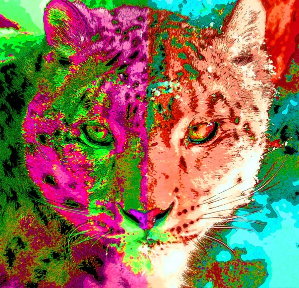 Snow Leopard Znak Ilustracja Pop Art Tło Ikona Kolorowymi Plamami — Zdjęcie stockowe