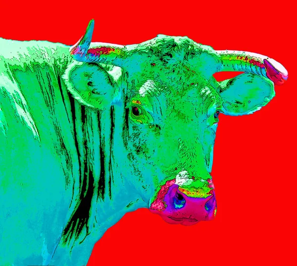 Viehzeichen Illustration Pop Art Hintergrund Symbol Mit Farbflecken — Stockfoto