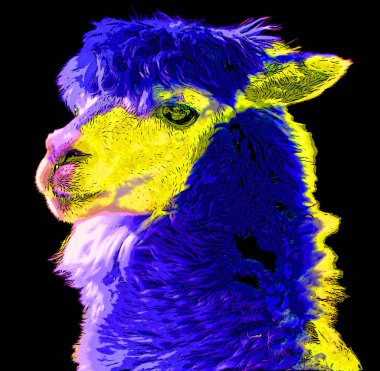 Lamas renk lekeli pop-art arkaplan simgesini imzaladı