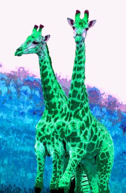 Zürafa, renk lekeli pop-art arkaplan simgesi imzası