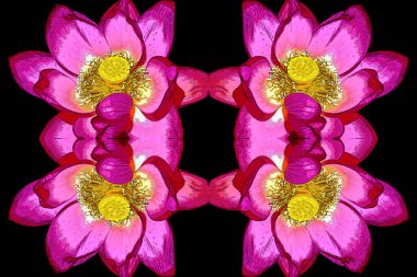 parlak şakayık çiçek işareti çizimi, renk lekeli pop-art arkaplan simgesi, kolaj