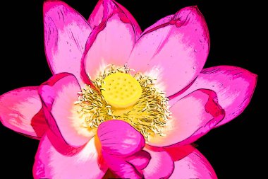 parlak şakayık çiçek işareti illüstrasyonu, renk lekeli pop-art arkaplan simgesi