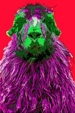 Lamas renk lekeli pop-art arkaplan simgesini imzaladı