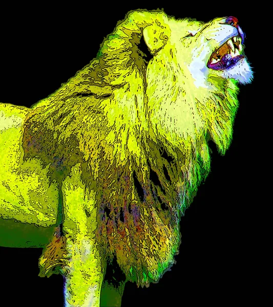 Lion Illustration Pop Art Style Icon Color — ストック写真
