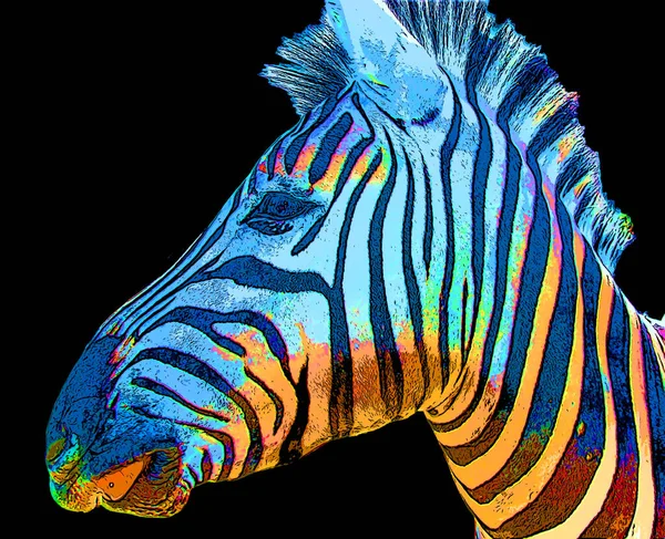 Zebra Head Illustration Pop Art Style Icon Color — Stock Photo, Image