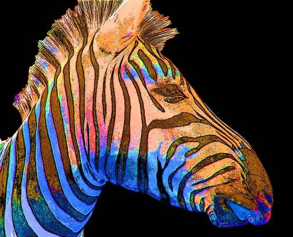 Zebra Head Illustration Pop Art Style Icon Color — Fotografia de Stock