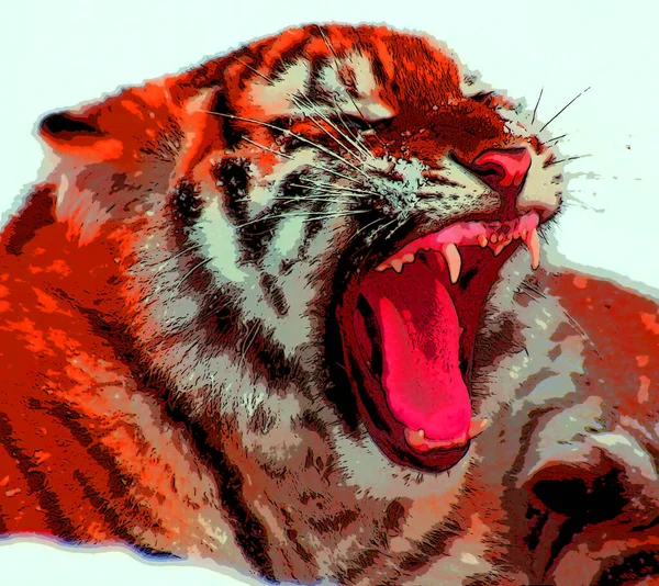 Tigre Signo Ilustración Pop Art Icono Fondo Con Manchas Color — Foto de Stock