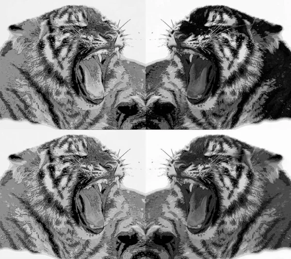 Tiger Segno Illustrazione Pop Art Icona Sfondo Con Macchie Colore — Foto Stock