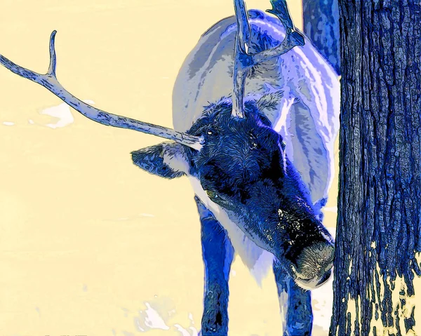 鹿のサインのイラストのカラースポットとポップアートの背景のアイコン — ストック写真