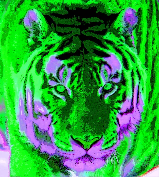 Tiger Sinal Ilustração Pop Art Ícone Fundo Com Manchas Cor — Fotografia de Stock