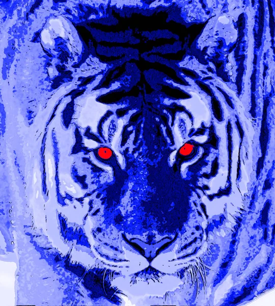 青い背景のトラ - (Blue Background Tiger ) アート・写真