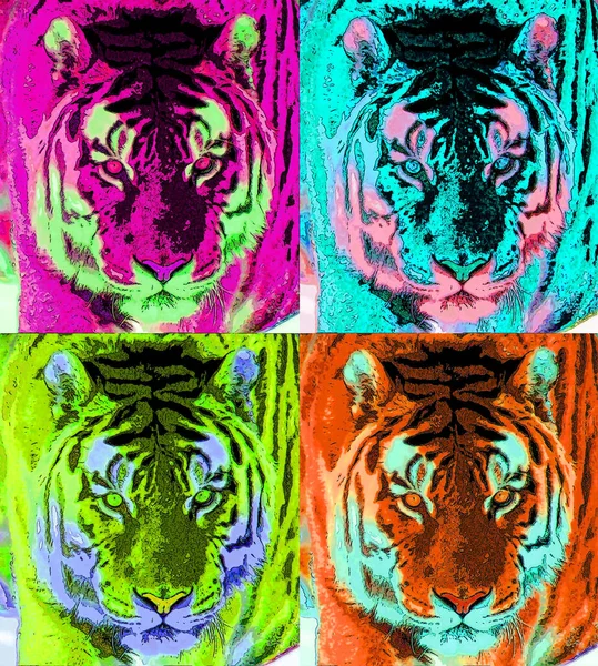 Tiger Signe Illustration Pop Art Icône Fond Avec Des Taches — Photo