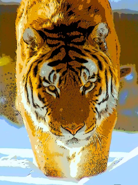 Tiger Signe Illustration Pop Art Icône Fond Avec Des Taches — Photo