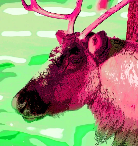 Hirsch Zeichen Illustration Pop Art Hintergrund Symbol Mit Farbflecken — Stockfoto