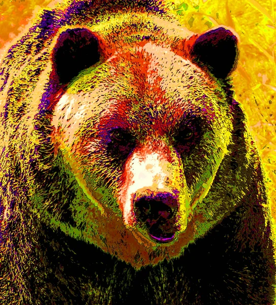 Grizzly Medvěd Znamení Ilustrace Pop Art Pozadí Ikona Barevnými Skvrnami — Stock fotografie