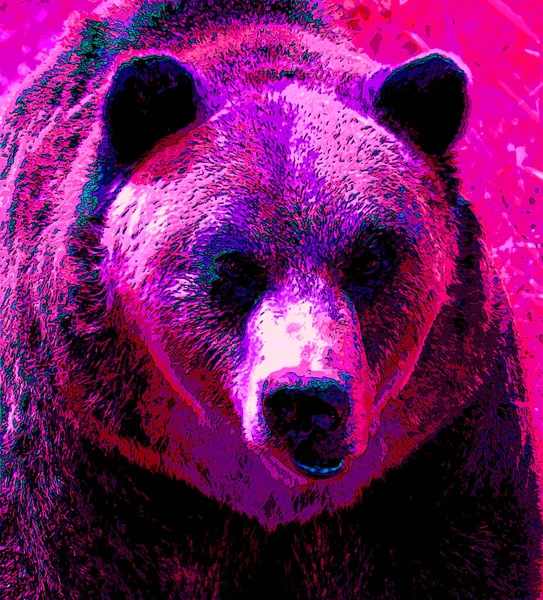 Grizzly Medve Jel Illusztráció Pop Art Háttér Ikon Színes Foltok — Stock Fotó