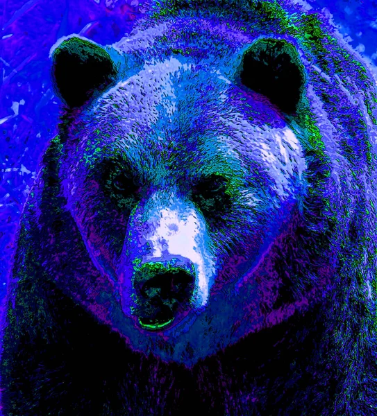 Grizzly Bear Sign Illustration Pop Art Background Icon Color Spots — 스톡 사진