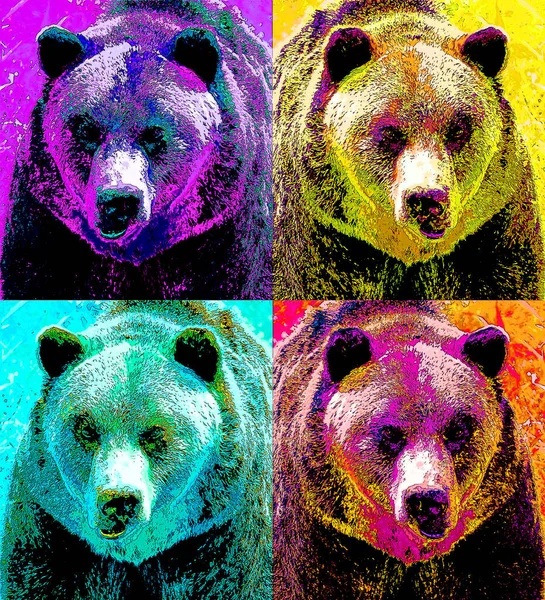 Grizzly bear sign illustration pop-art background icon with color spots