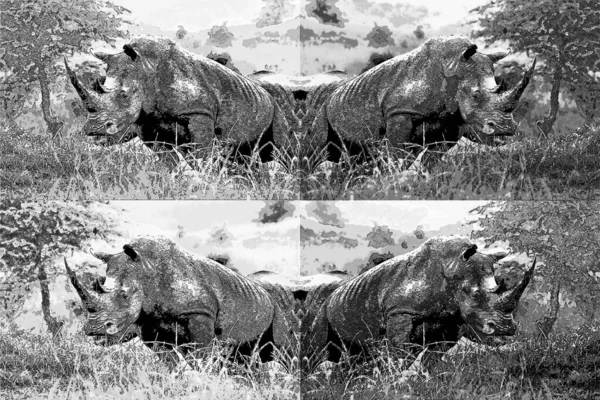 Rhinoceros Υπογράψει Εικόνα Pop Art Εικονίδιο Φόντου Κηλίδες Χρώματος — Φωτογραφία Αρχείου
