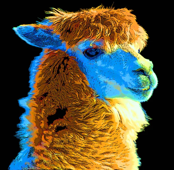 Lamas Sign Illustration Pop Art Background Icon Color Spots — Stock Photo, Image