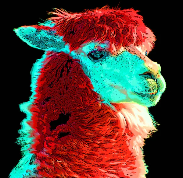 Lamas Sign Illustration Pop Art Background Icon Color Spots — Stockfoto