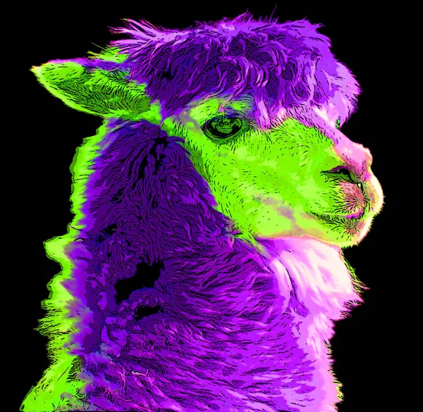 Lamas Sign Illustration Pop Art Background Icon Color Spots — Fotografia de Stock