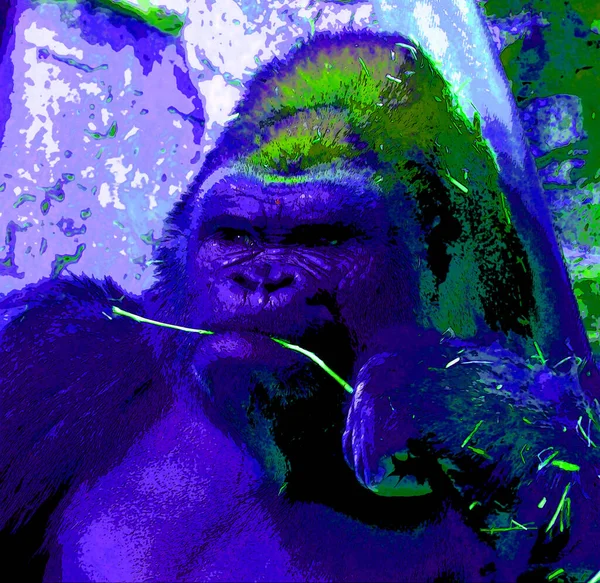 Gorilla Teken Illustratie Pop Art Achtergrond Pictogram — Stockfoto