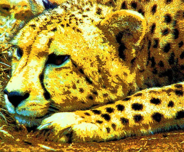 Pop Art Leopard Icon Color Spots — стоковое фото
