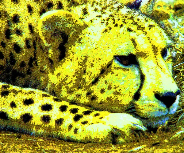 Pop Art Leopard Icon Color Spots — Fotografia de Stock