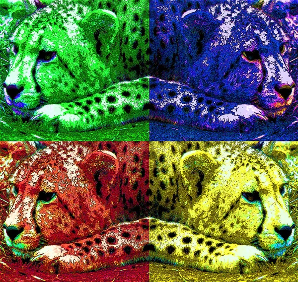 Pop Art Leopard Icon Color Spots — Stok fotoğraf