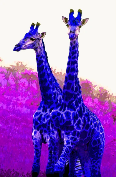 Giraffe Teken Illustratie Pop Art Achtergrond Pictogram Met Kleurvlekken — Stockfoto