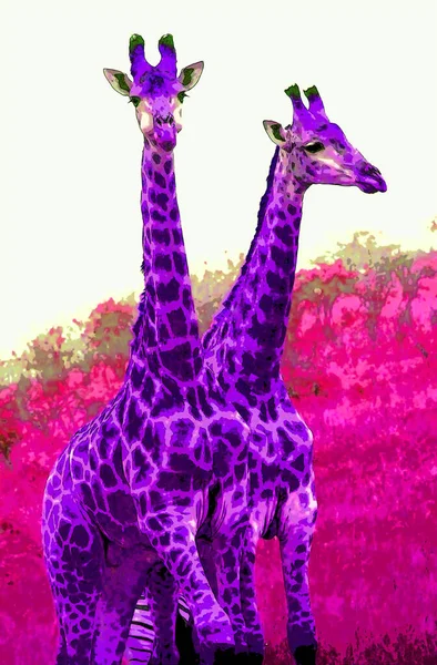 Giraff Tecken Illustration Pop Art Bakgrund Ikon Med Färg Fläckar — Stockfoto