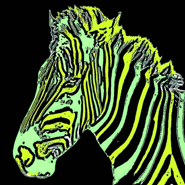 Zebra Sinal Ilustração Pop Art Ícone Fundo Com Manchas Cor — Fotografia de Stock