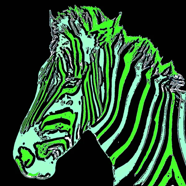 Иллюстрация Знака Зебры Иконка Поп Арта Цветовыми Пятнами — стоковое фото